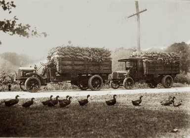 Courtesy of Philip N. Hoeffner Family