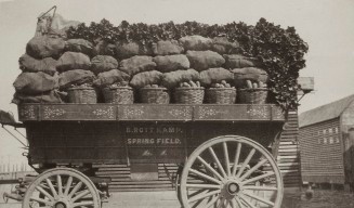 Market Wagon - Frederick Erb