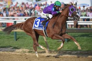 140517-california-chrome-2206_ca784a6b59999fd7c6d23ea28b09e012