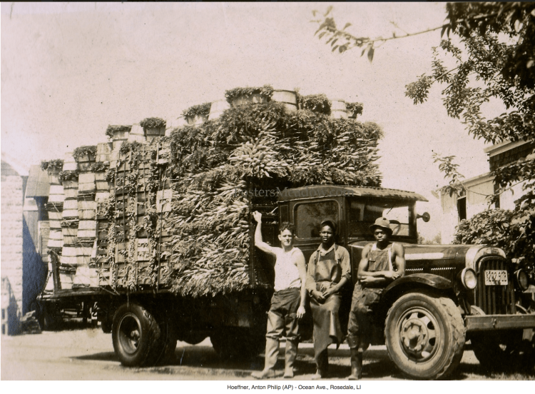 Screen Shot 2014-09-23 at 4.29.26 PM