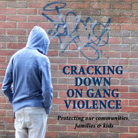 Anti Street Gang Legislation